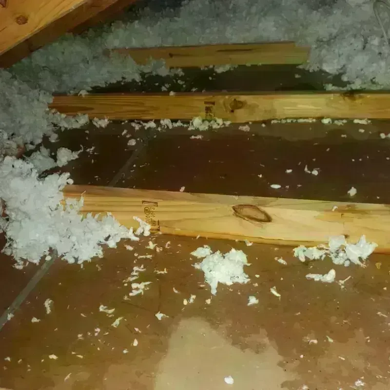 Attic Water Damage in Gibsonville, NC