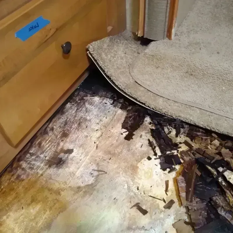 Wood Floor Water Damage in Gibsonville, NC